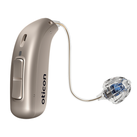 Aparato Auditivo | Dr. Jesús Avelar